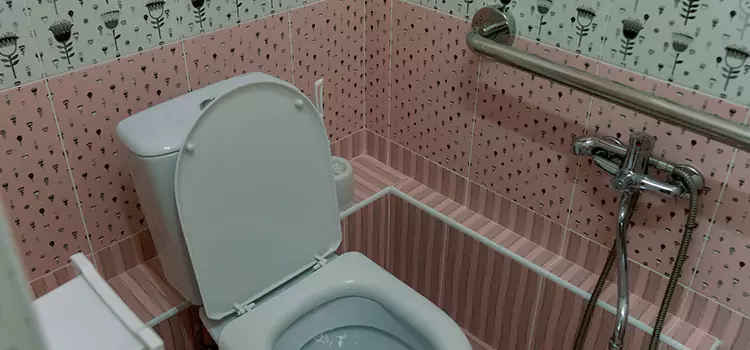 Meeting Diverse Needs With Accessible Restroom Solutions in Cedar Hill, TX